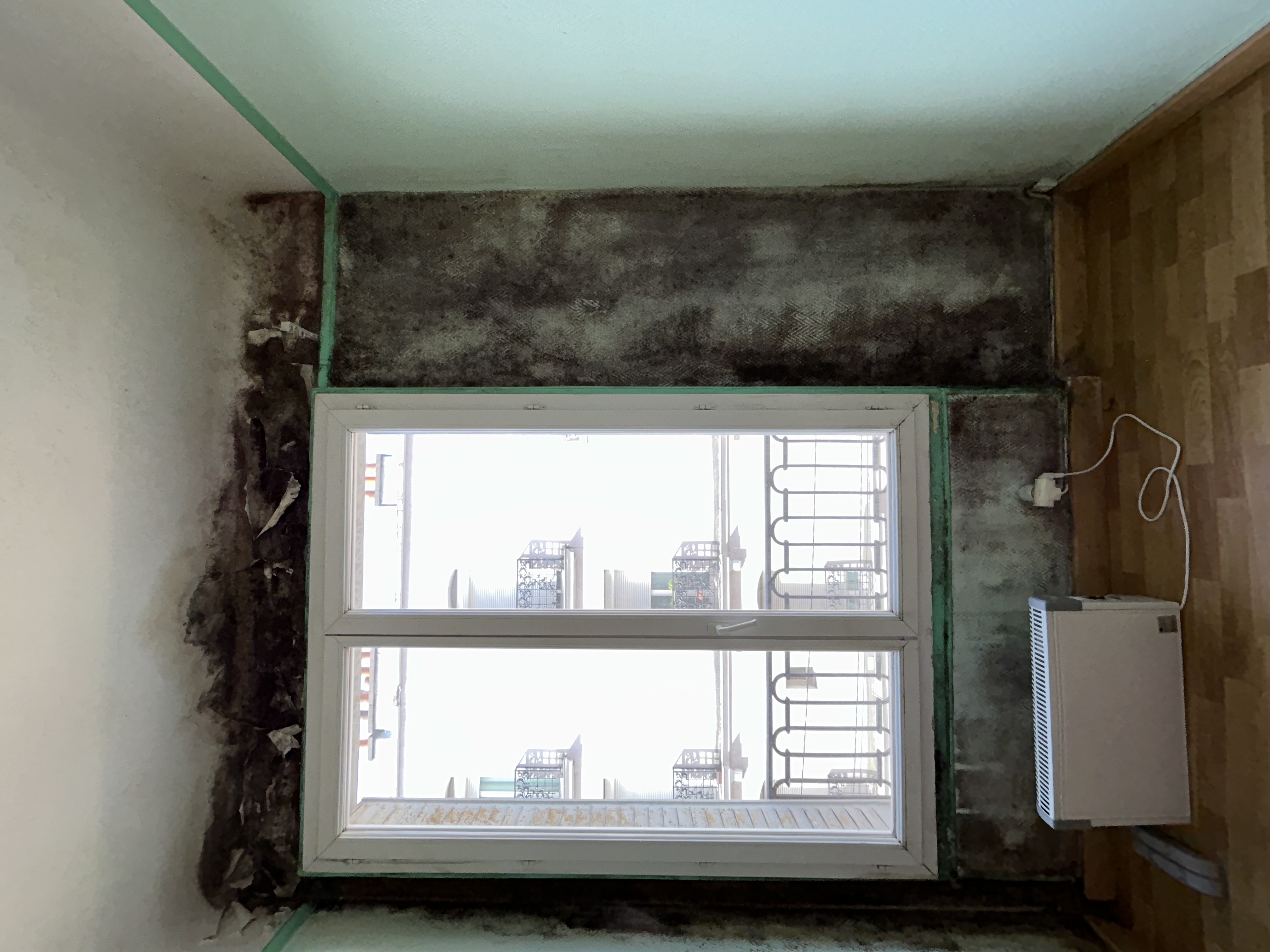 Traces sombres de moisissure autour du cadre d'une fenêtre de chambre